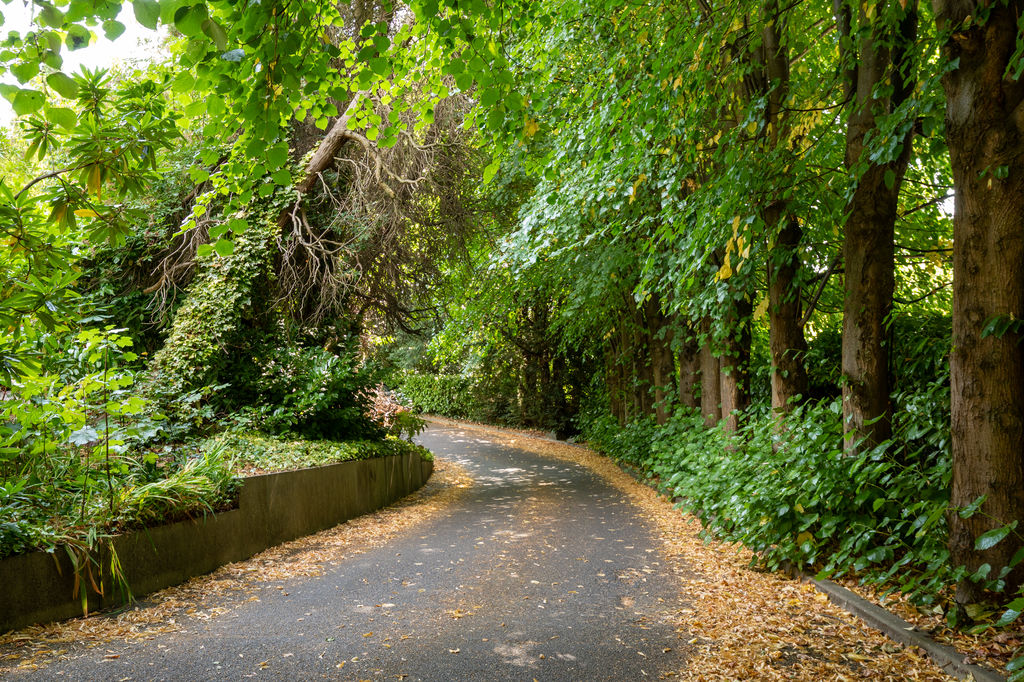 222 Graham Road Ranmoor